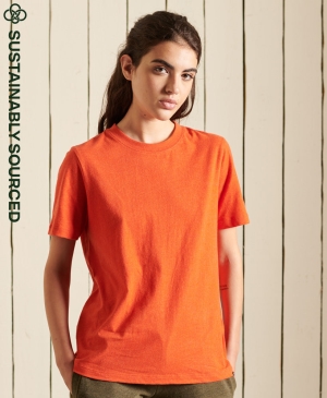 Superdry Academy Stripe T-shirts Weiß | EOFVTZS-07