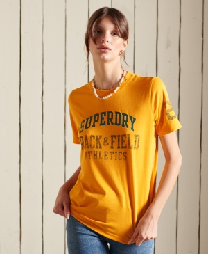 Superdry Code Applque 19Inch Swim T-shirts Silber | KCTBUVE-61