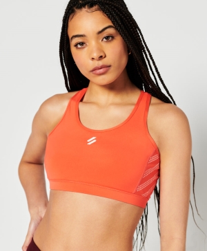 Superdry Code Oberteile Neutrals | AZGUQTC-74