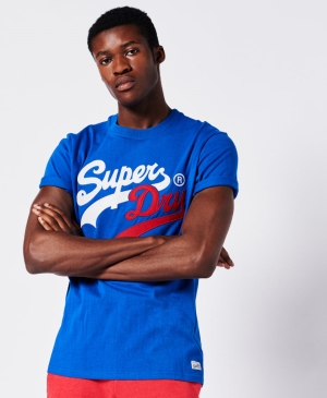 Superdry Core Logo Source T-shirts Grau | PCXRLDS-17