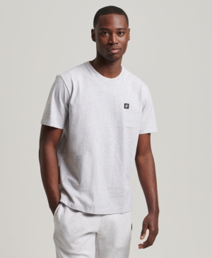 Superdry Core Logo T-shirts Weiß | YFPJXGT-06