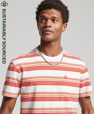 Superdry Core Logo Tee T-shirts Weiß | KGIMCHJ-01