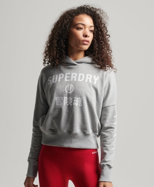 Superdry Core Multi Sport Hoodie Navy | PRCTABU-74