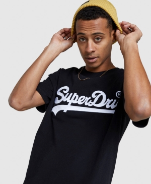 Superdry Corp Logo Foil Crop T-shirts Weiß | CBQEWHL-48