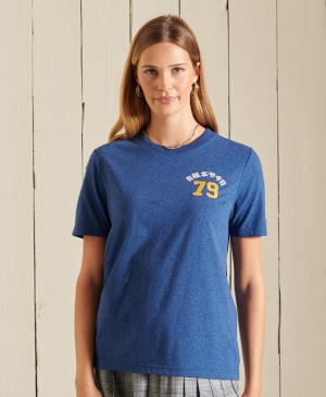 Superdry Corporate Logo Crew T-shirts Grau | XGOAMJV-89