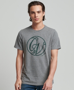 Superdry Essential Tee T-shirts Blau | QMBNFGP-83