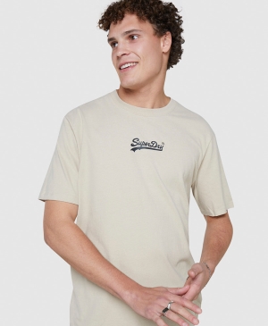 Superdry Essential Tee T-shirts Grau | ZAGQJMD-58