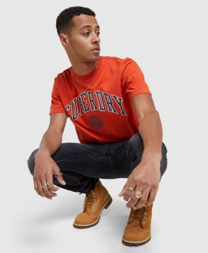 Superdry Essential Tee T-shirts Grün | GNLCQWE-72