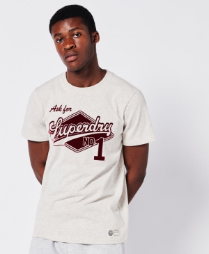 Superdry Essential Tee T-shirts Grün | NITHDUF-91