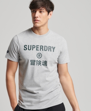Superdry Essential Tee T-shirts Schwarz | SWLCVGT-25