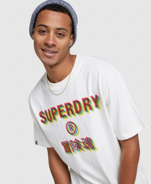 Superdry Essential Tee T-shirts Silber | TOAWRCH-19