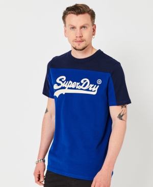 Superdry Essential Vee Tee T-shirts Grau | TRIELKU-92