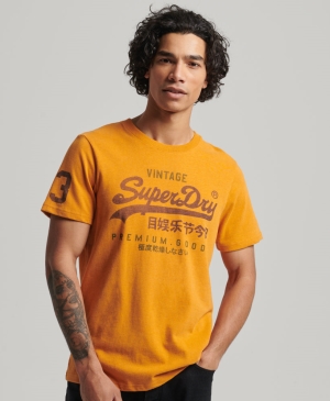 Superdry Expedition Graphic Crop T-shirts Grau | FANXEVJ-78