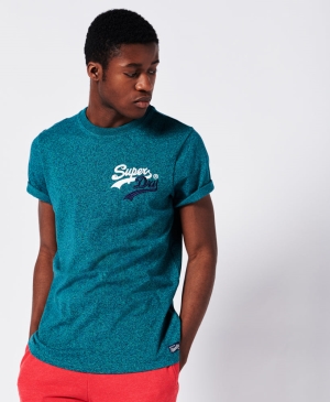 Superdry Expedition Graphic Crop T-shirts Schwarz | GUWMVHD-95
