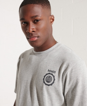Superdry Expedition Pocket Tee T-shirts New Chalk | AVQOMWF-45