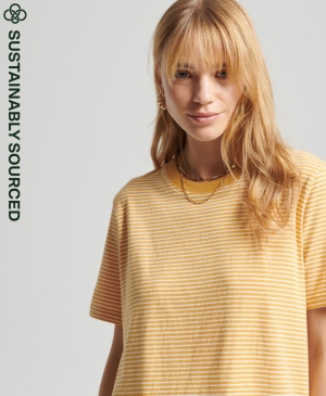 Superdry Mountain Windcheater T-shirts Grün | QNSKBDT-73
