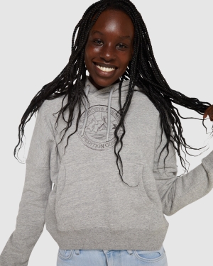 Superdry Run Ss Tee Hoodie Grün | LZXPMDQ-46