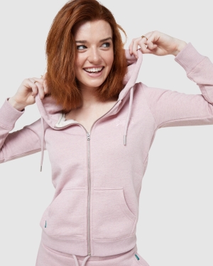 Superdry Superdry Code Essential Tee Hoodie Blau | GSIDRPL-45