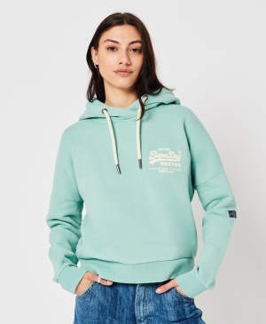 Superdry Train Branded Elastic Hoodie Blau | NZKWJEV-58