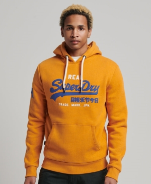 Superdry Vintage Collegiate Hoodie Grau | XHINDBZ-37