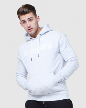 Superdry Vintage Logo Embroidery Hoodie Grau | WLJPTNU-12