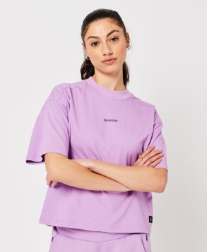 Superdry Vintage Script Stylen Indg Crew T-shirts Blau | UTBPQAJ-80