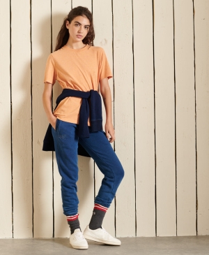 Superdry Vle Stripe Tee T-shirts Grün | PRZUNFV-90